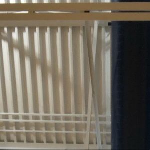 Meet your Posher, Lizzie